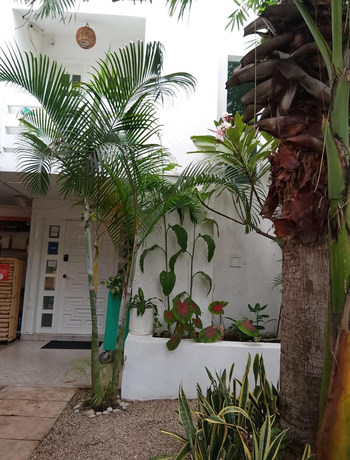 Hotel Downtown Mérida Esterno foto